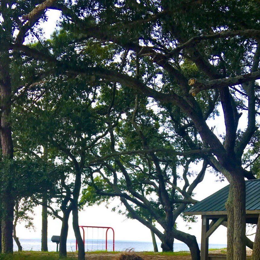 A park with trees and a swing set.