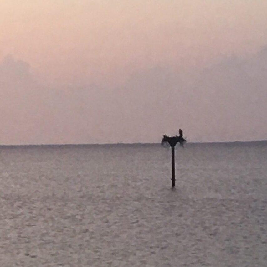 A person on a horse in the middle of an ocean.