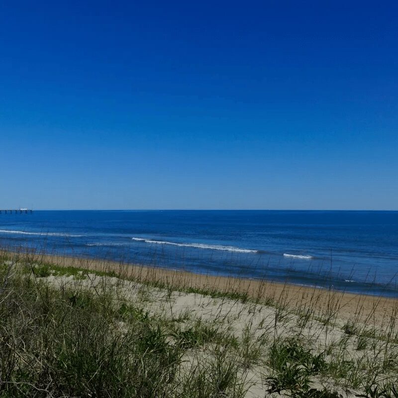 A beach with grass and sand next to the ocean.